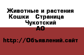 Животные и растения Кошки - Страница 3 . Чукотский АО